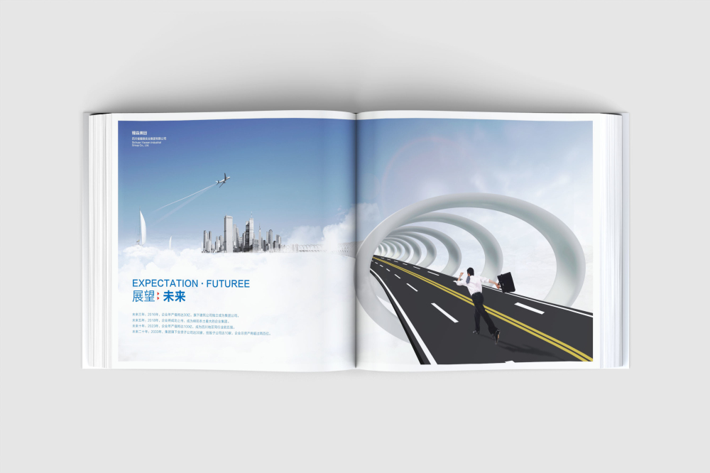 凤阳县画册设计